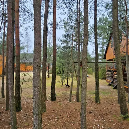 Osada Nad Wda W Borsku Prázdninový dům