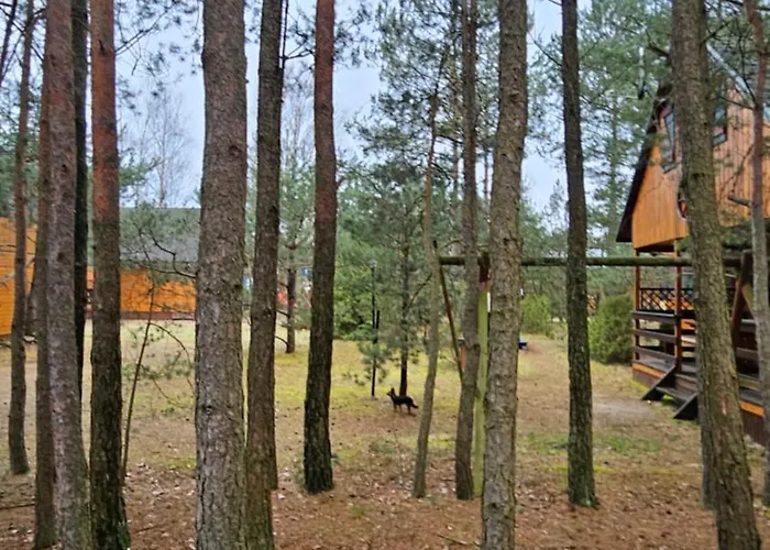 Osada Nad Wda W Borsku Tatil Evi