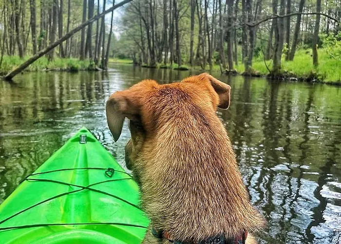 Osada Nad Wda W Borsku Borsk